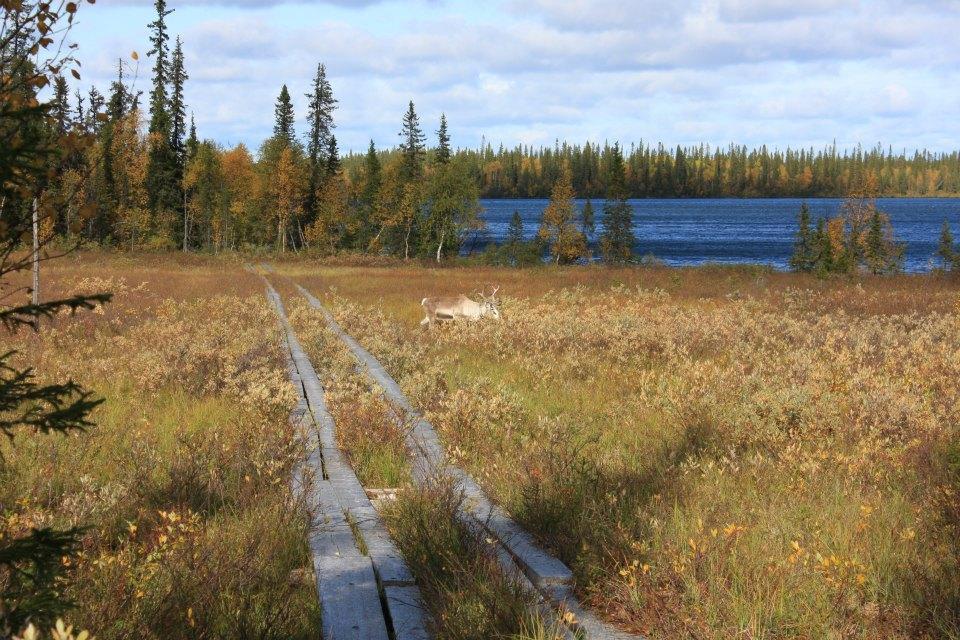 Отель Kyroen Loma Экстерьер фото